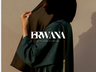 Erwana logo